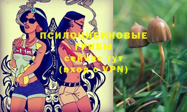 мдпв Киренск