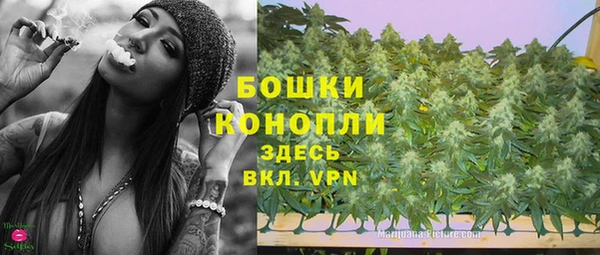 мдпв Киреевск