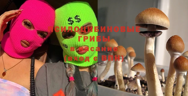 мдпв Киреевск