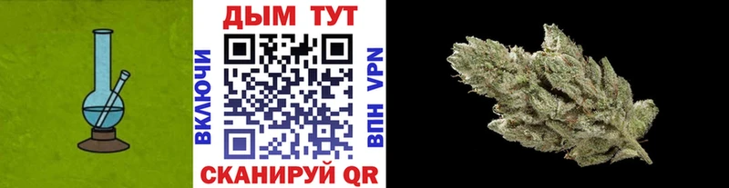 Купить Георгиевск Канабис Amnesia